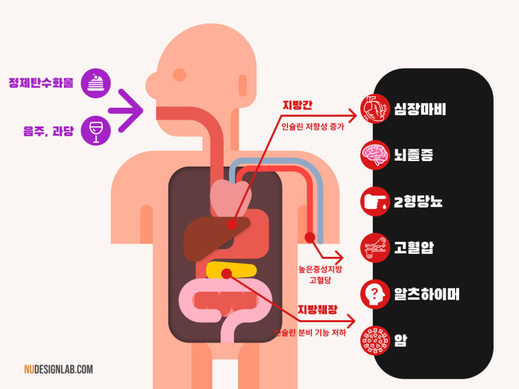 대사증후군 기전