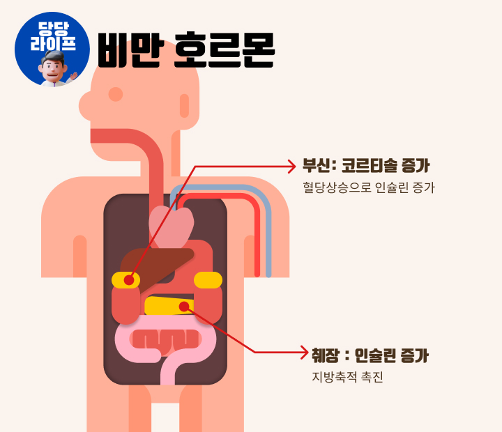 비만 호르몬