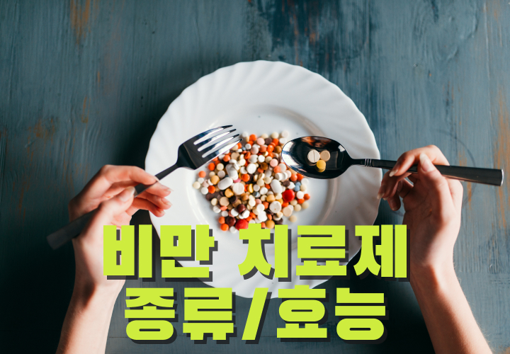 비만치료제