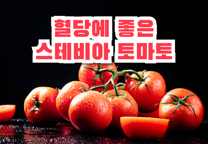 스테비아토마토