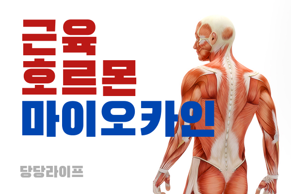 마이오카인