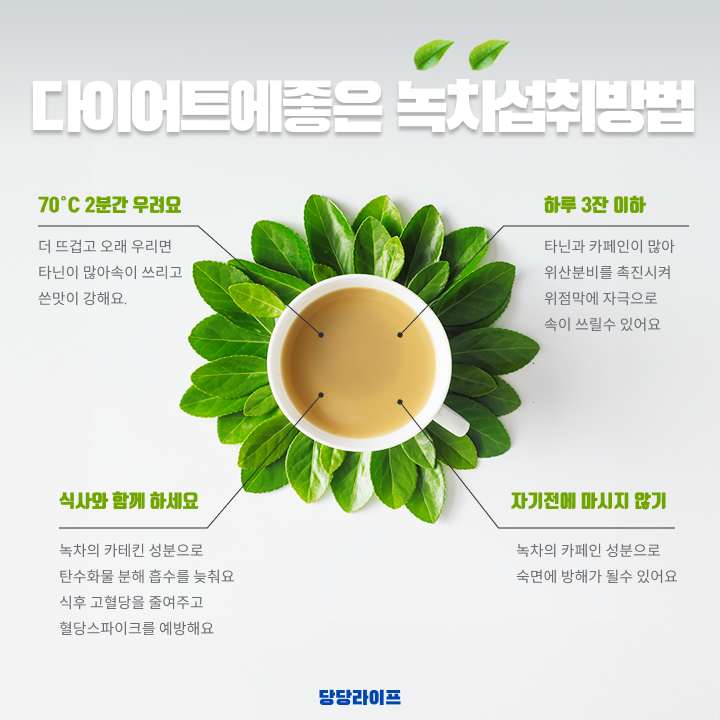 다이어트에 탁월한 녹차의 효능 과 녹차 섭취방법 • 당당라이프
