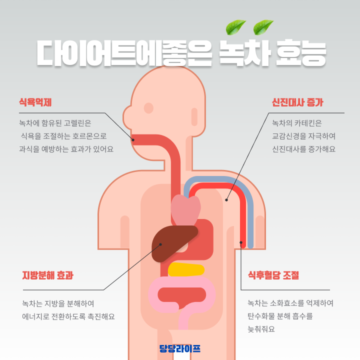 녹차의 효능