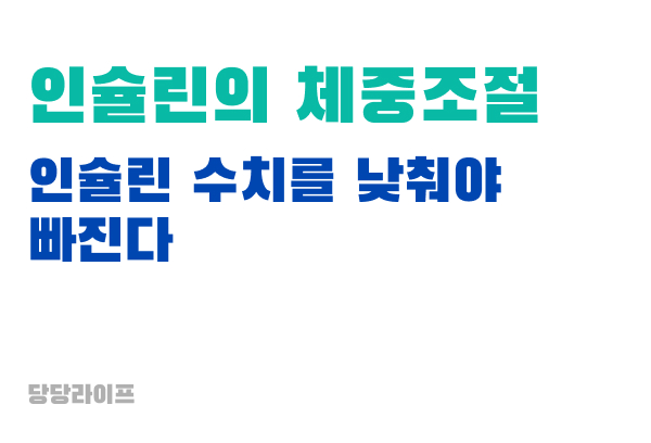 인슐린의 체중조절